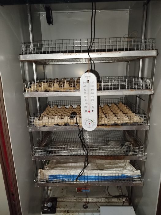 Инкубатор 500 тухумлик