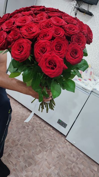 Розы свежие 51 штука