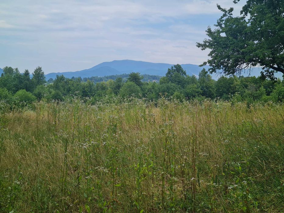 Teren  pt cabana 5-10 - 20 ari , la 750 eu arul, la 10 km de Baia Mare