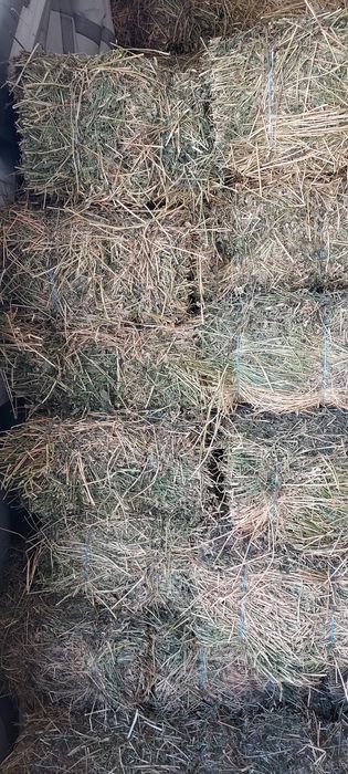 De vânzare baloți de lucernă, fân!Se asigura transport!