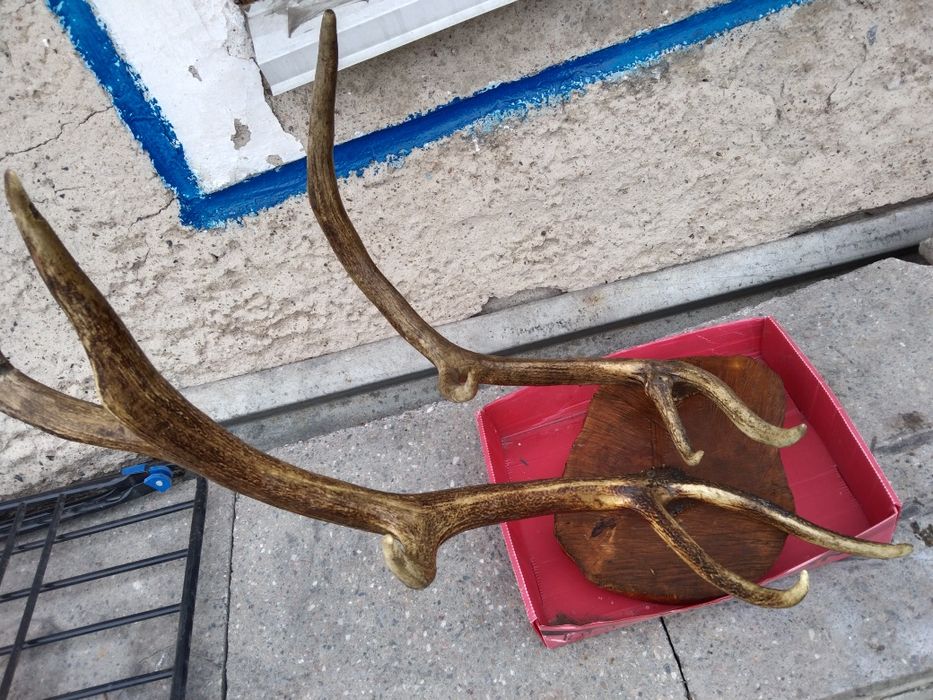 Продам. Продам .