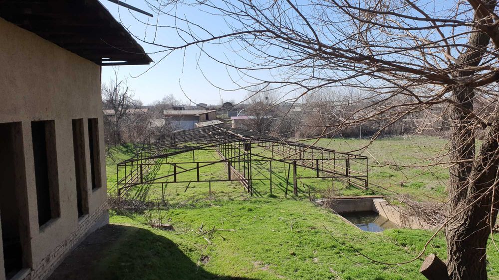 Добротный дом с деревянным каркасом с теплицей в 10 км от Ташкента.