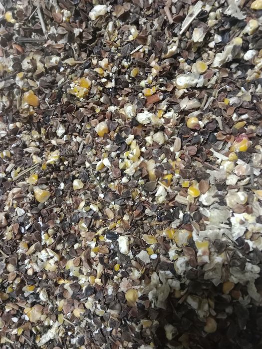 Продам зерно отходы