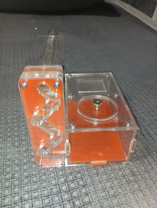 Муравьиная ферма, формикарий