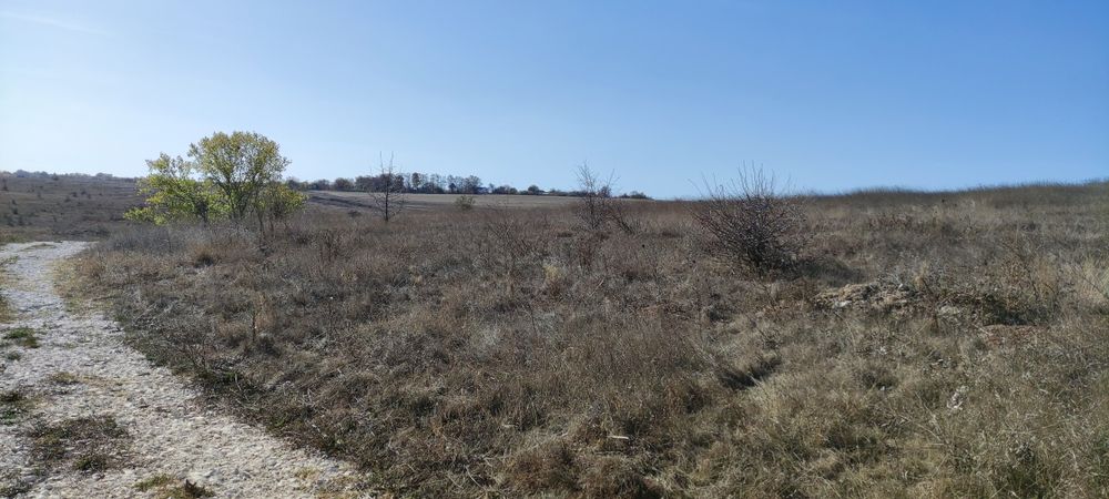 Продава се Парцел в с. Николаевка, Област Варна - 6200 кв.м за 11 €/кв.м - Снимка #6