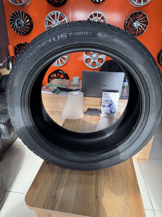 Lassa Competus winter 2