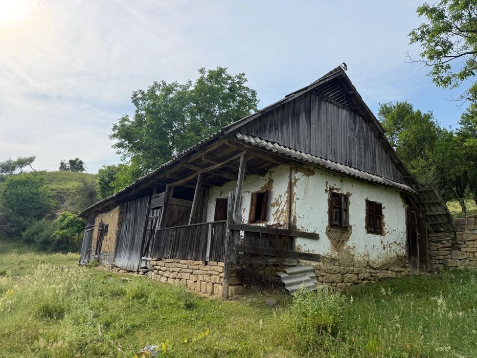Teren cu livada si casa