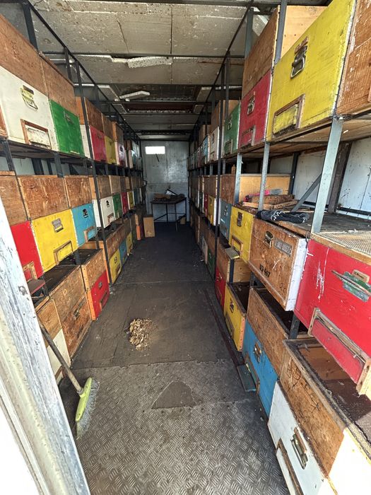 Camion apicol cu 72 de lazi pe pat cald