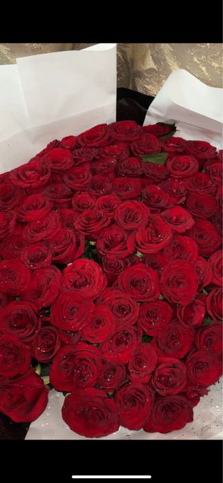 101 метровый роза