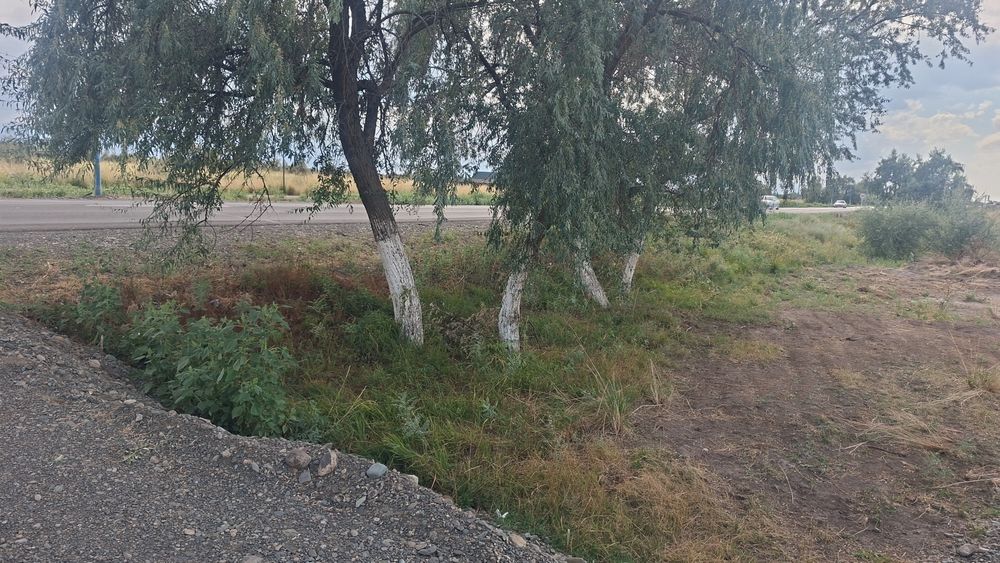 Продам землю и дом Алаколе