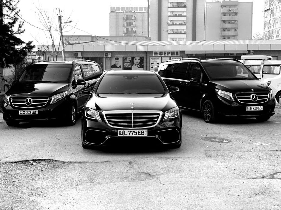 Картеж кортеж той раддом раддом хизмат учун