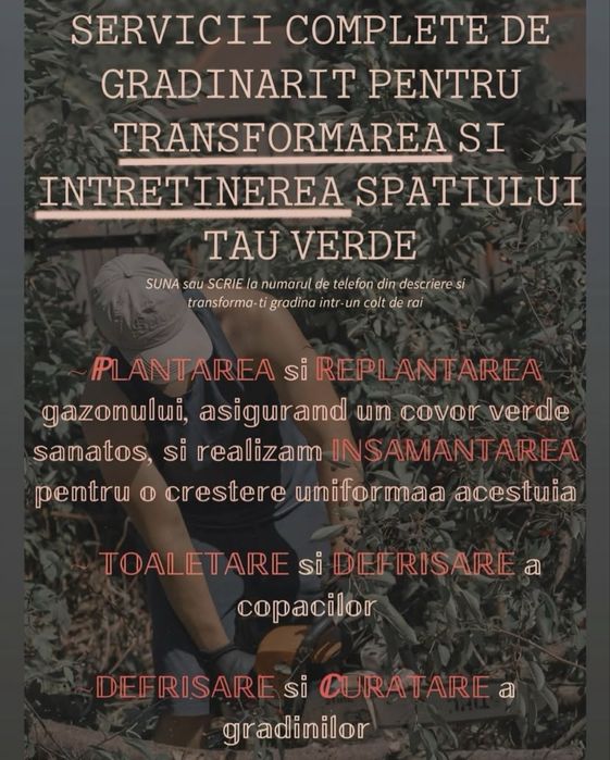 Plantare gazon, gard viu si plante ornamentale + defrisarea gradinilor