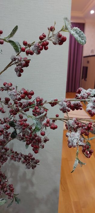 Продам вазу с ветками. Россия.