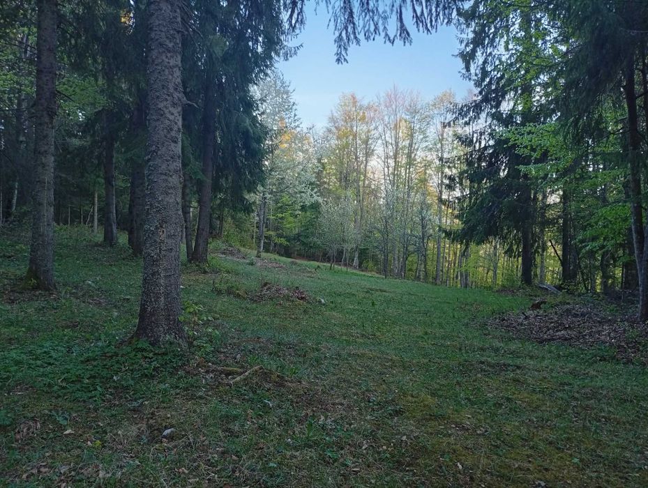 Vând teren în comuna Gârda de Sus