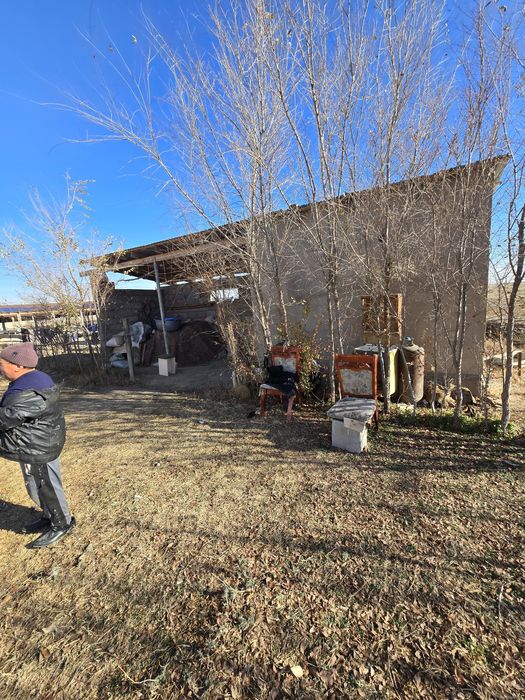 Фазенда мал шаруашылығына