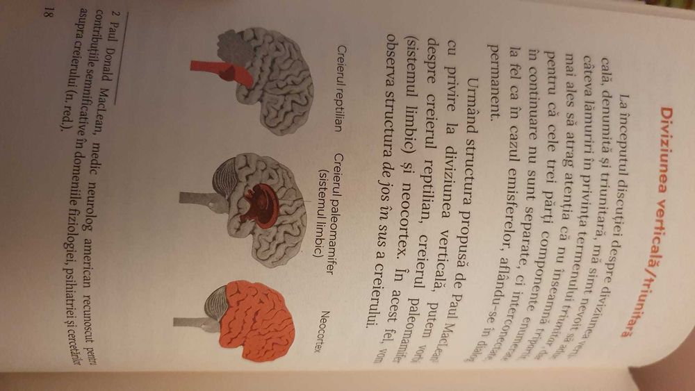 Leon Danaila-Neuroplasticitatea creierului