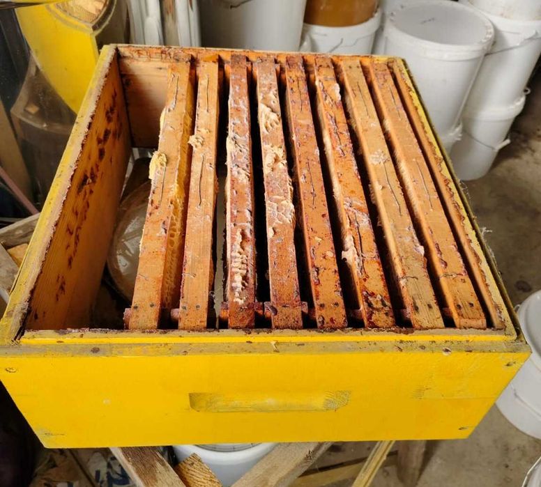 Rame Albine 1/2 si Magazii Caturi cu faguri claditi