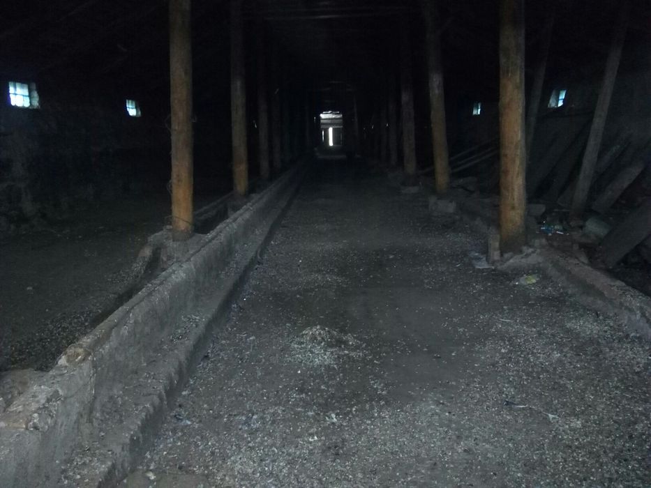 Продам дворы сСекисовка