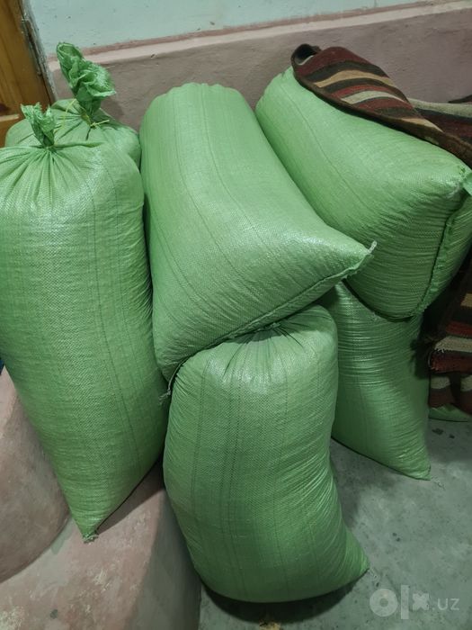 Makkajoʻxori doni