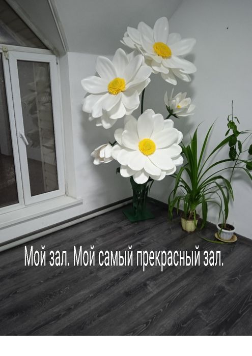 Цветок. Декор для офиса.