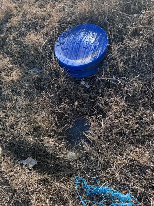 Teren in sat Vladiceni, Tomesti, 501 mp