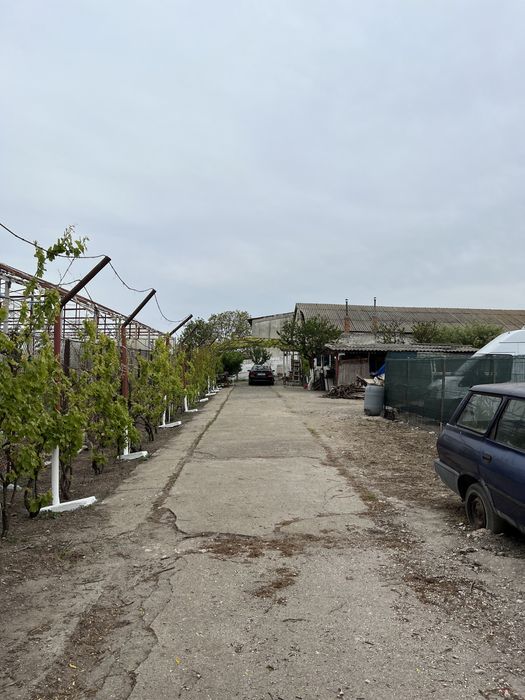 Vand/Inchiriez(hala,teren,birou)