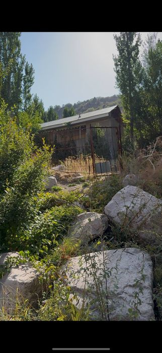 Дача сотилади бирчимулло Гулкам ресор йолида 400 метр етмасдан  видео