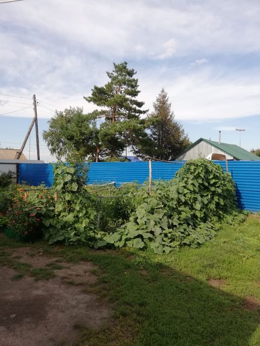 Продам дом в Пресновке