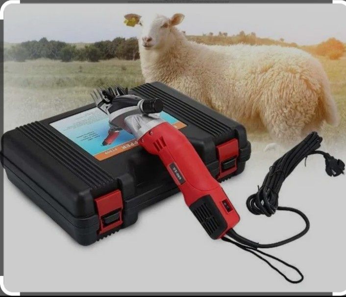 Qoʻy yungini olish xizmati