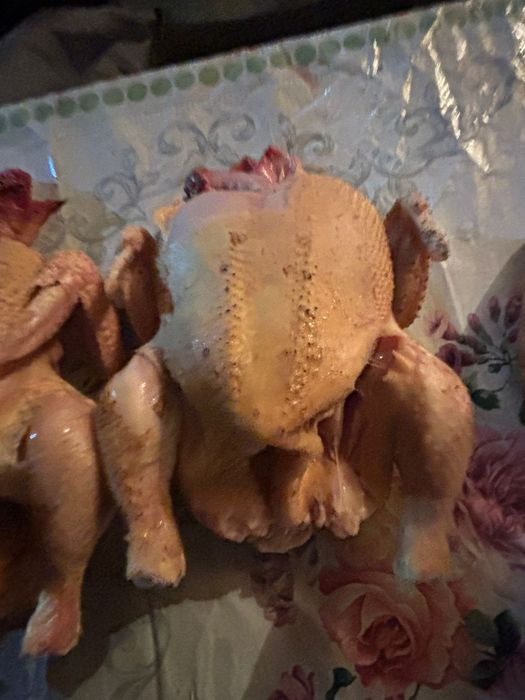 Мясо домашних кур