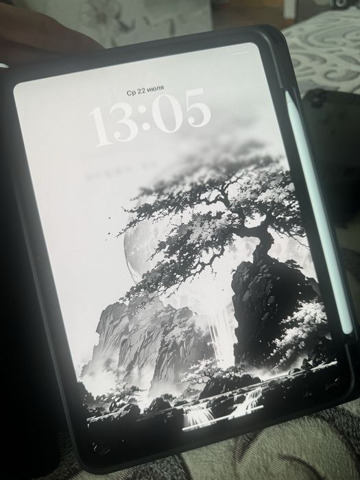 Ipad pro m4 256gb