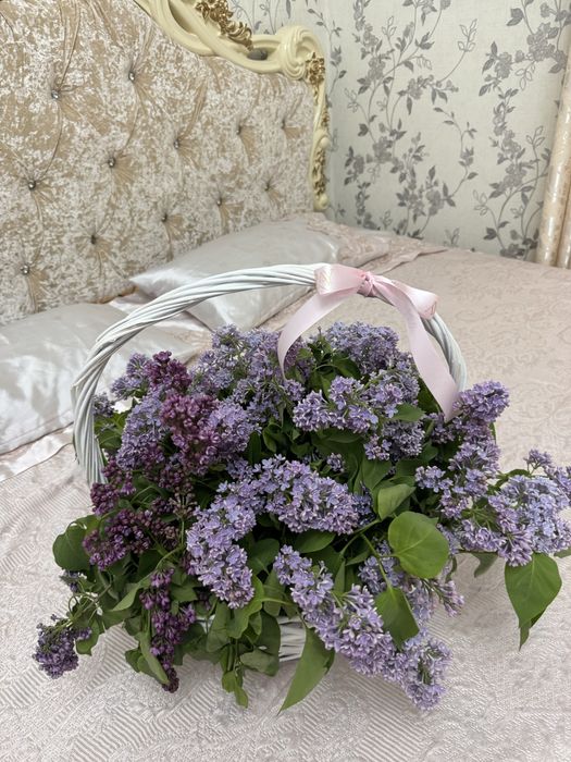 Свежие цветы 10000 теңге