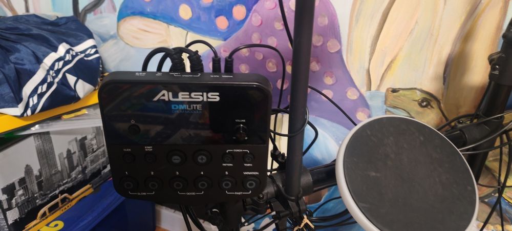 Tobe electronice Alessis DM-lit