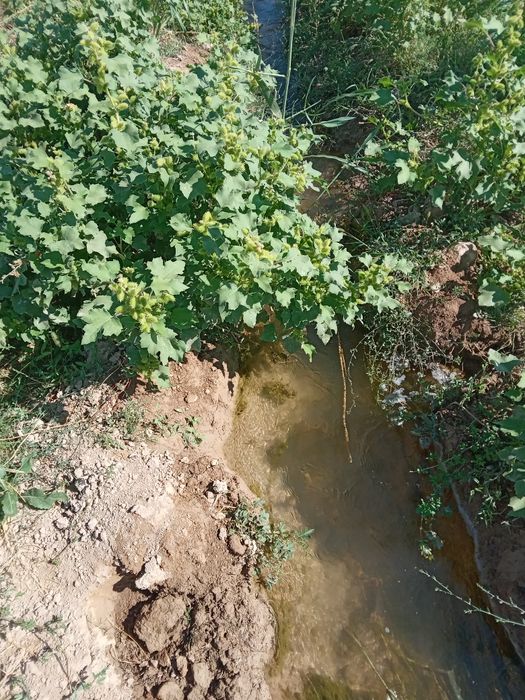 Жер жалга бериледи