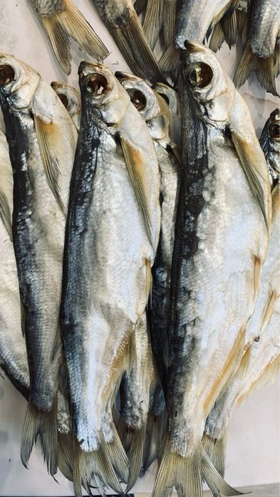 Рыба вчленая, сушеная, домашняя