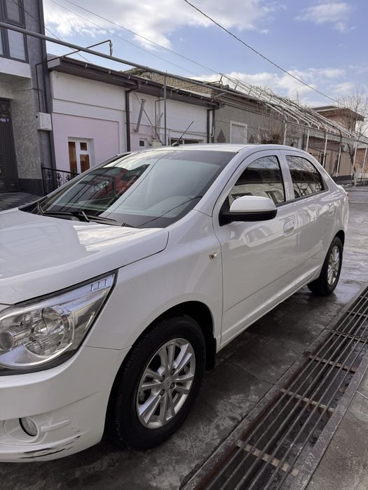 Serchno Cobalt sotaman