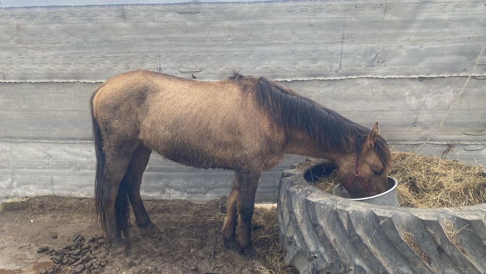 Сатылады срочно…