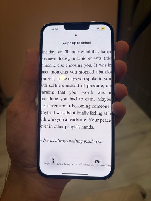 Iphone 13 Pro Max 128GB 75%