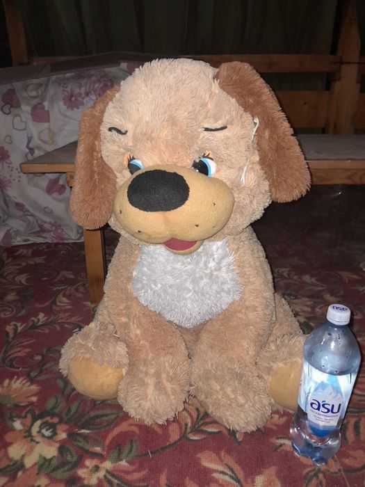 Собачка большая 2000 теңге.