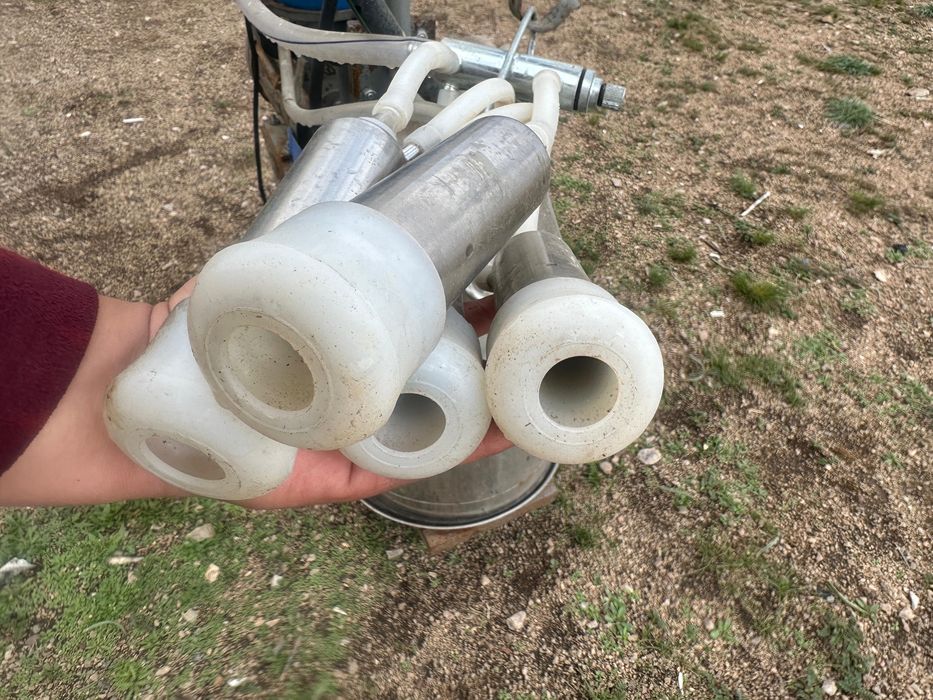 Доильный аппарат для коров Зорька