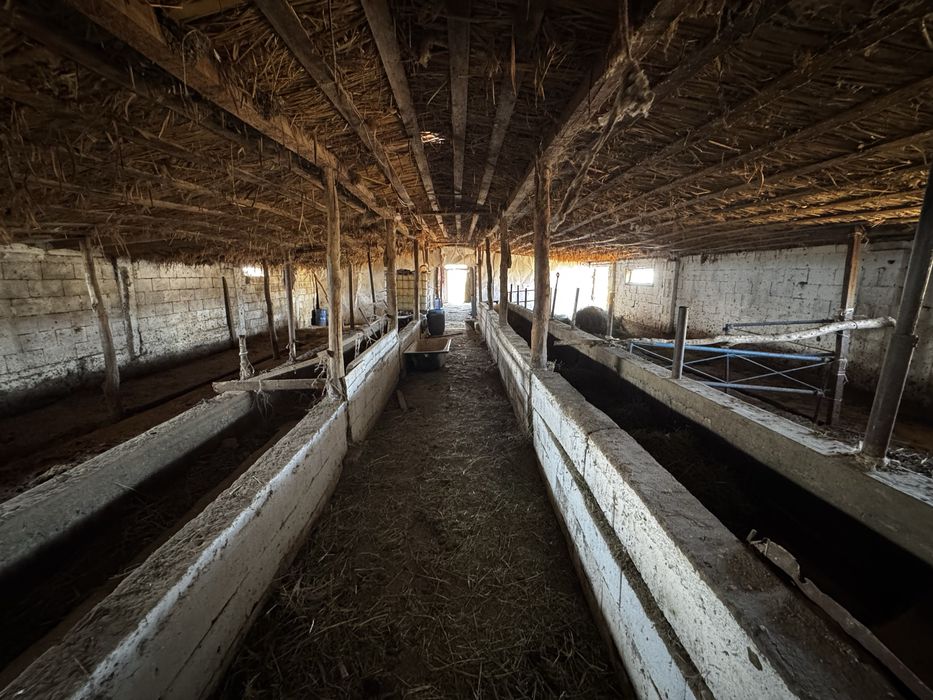 Продается фазенда