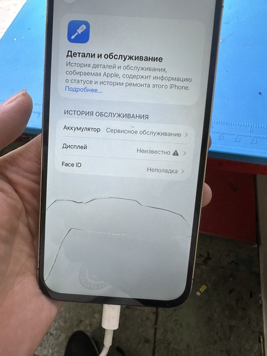 Iphone12 pro max 256G