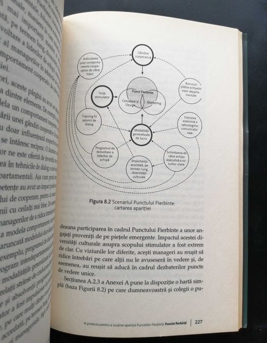 Puncte Fierbinti Lynda Gratton ed Publica business inovatie companii