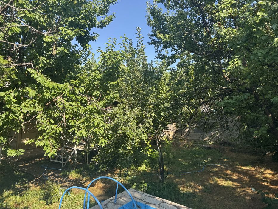 Dacha sotiladi ! 6 sotih Yer hisobida !
