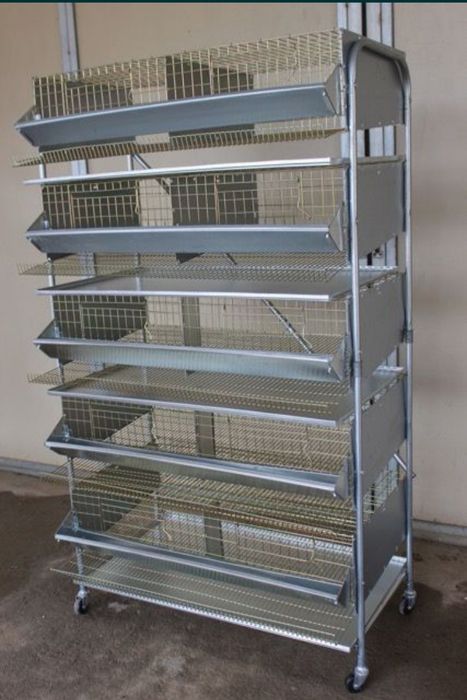 Bedana, quyon, nesushka, Broller qafas chiqaramiz