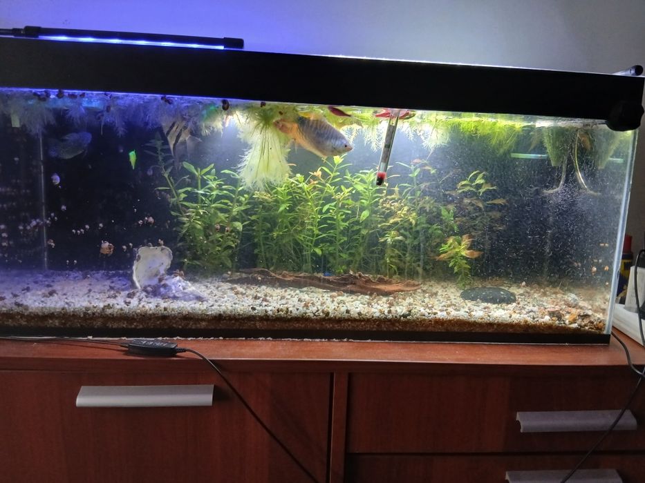 Аквариум с рыбками, полностью упакованный