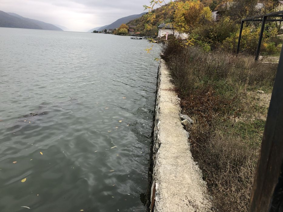 Teren Dubova  Schimb cu AUTO