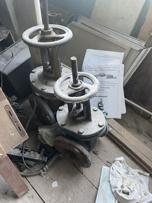 Катта крайник иккита