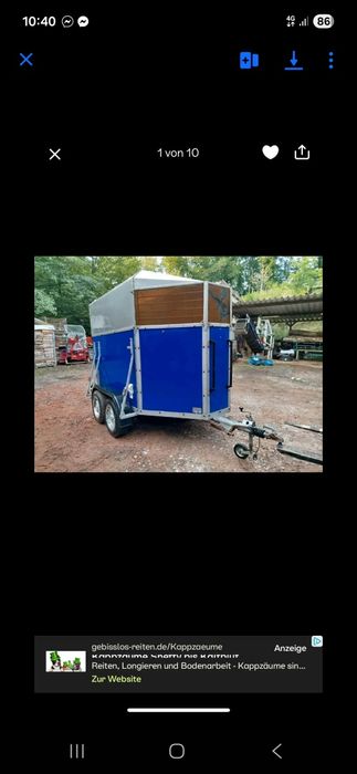 Vand reomorca Animal 2