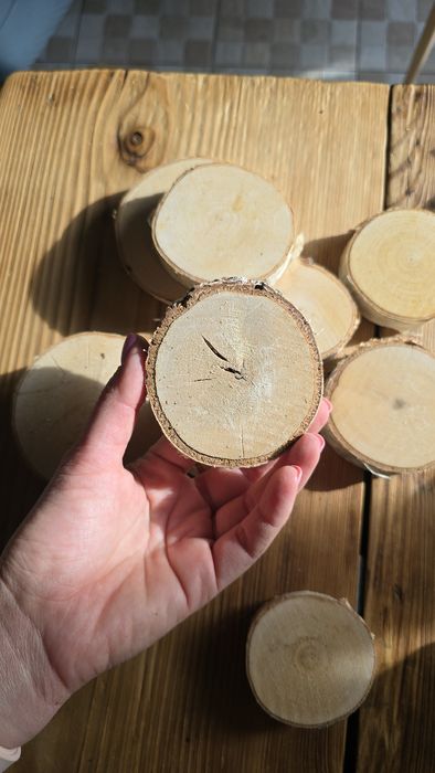 Спил дерева набор 10 шт